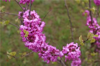 IMG_2514.JPG